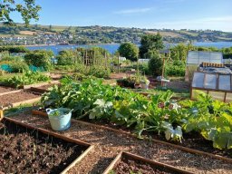 Allotment 2